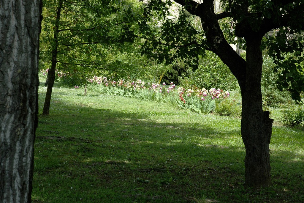 parc arboré de l'hôtel